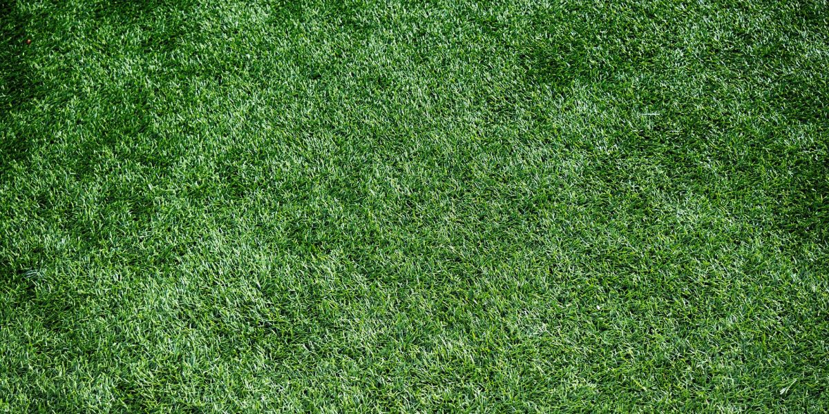 Kunstgras in de tuin