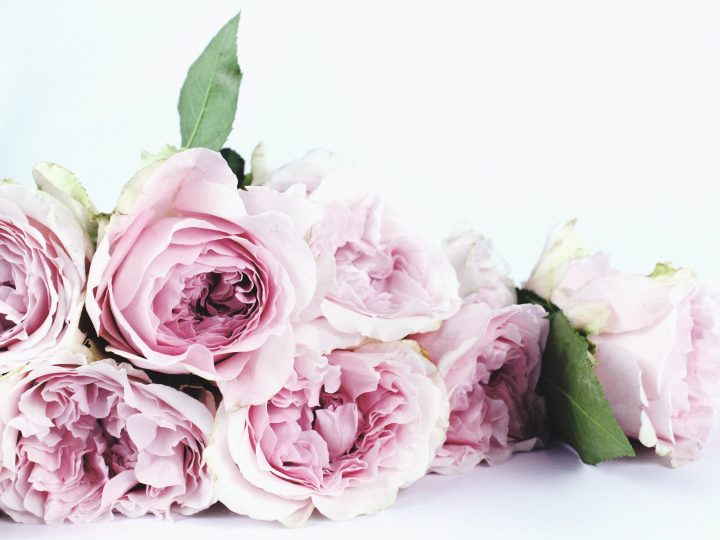 Bij een zijde bloemen groothandel koop je levensechte bloemen van een goede kwaliteit
