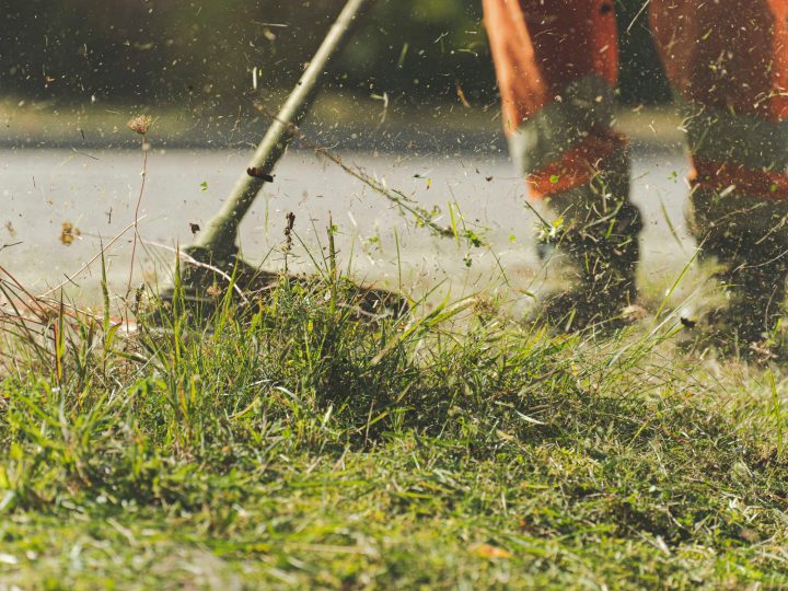 Welke soorten grasmachines heb je vandaag de dag?